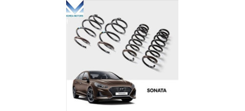tuix dynamic coil spring hyundai sonata lf 2017-19